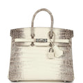 Birkin 25 Himalaya Crocodile-Inspired Luxury Handbag